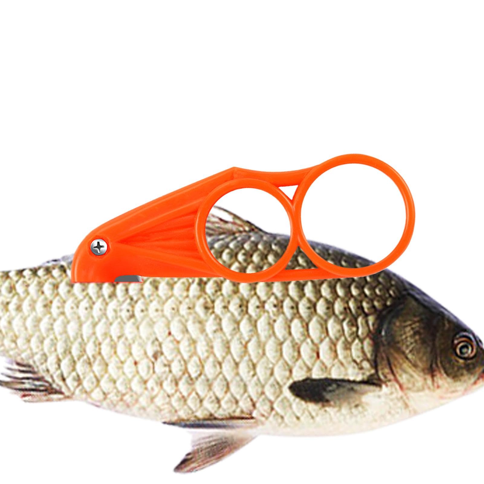 Amazon | Shitafe ポータブルフィッシングカッター、魚腹リムーバー